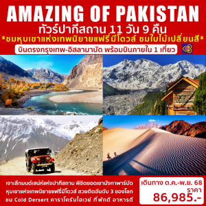 AMAZING OF PAKISTAN 11วัน9คืน